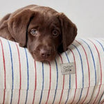 Coussin Kyoto pour chien - Mellow - Sleep - boutique décoration Montreal