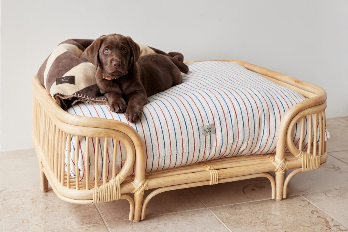 Coussin Kyoto pour chien - Mellow - Sleep - boutique décoration Montreal