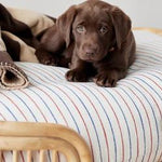 Coussin Kyoto pour chien - Mellow - Sleep - boutique décoration Montreal