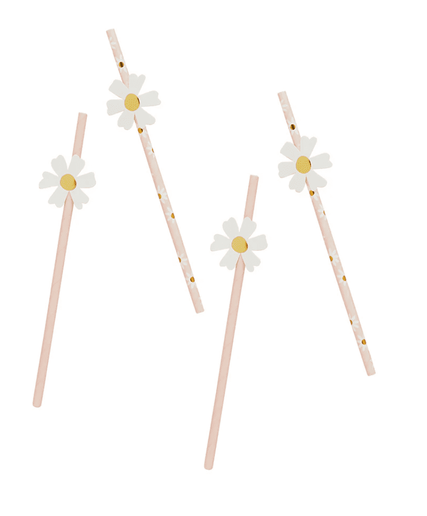 Pailles papier - Daisy - Accessories - Kids - boutique décoration Montreal