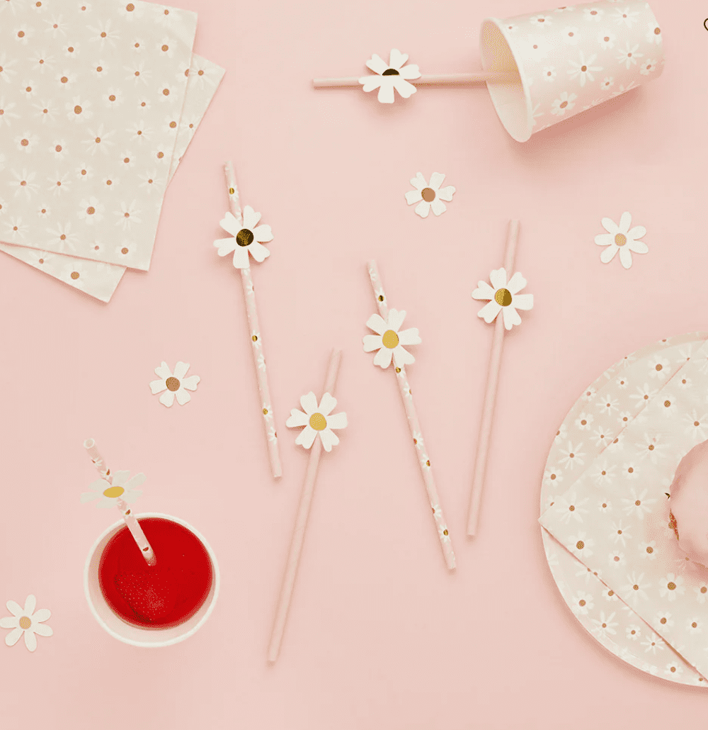 Pailles papier - Daisy - Accessories - Kids - boutique décoration Montreal
