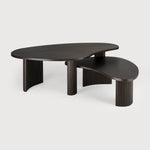 Table basse Boomerang en acajou - Demo - boutique décoration Montreal