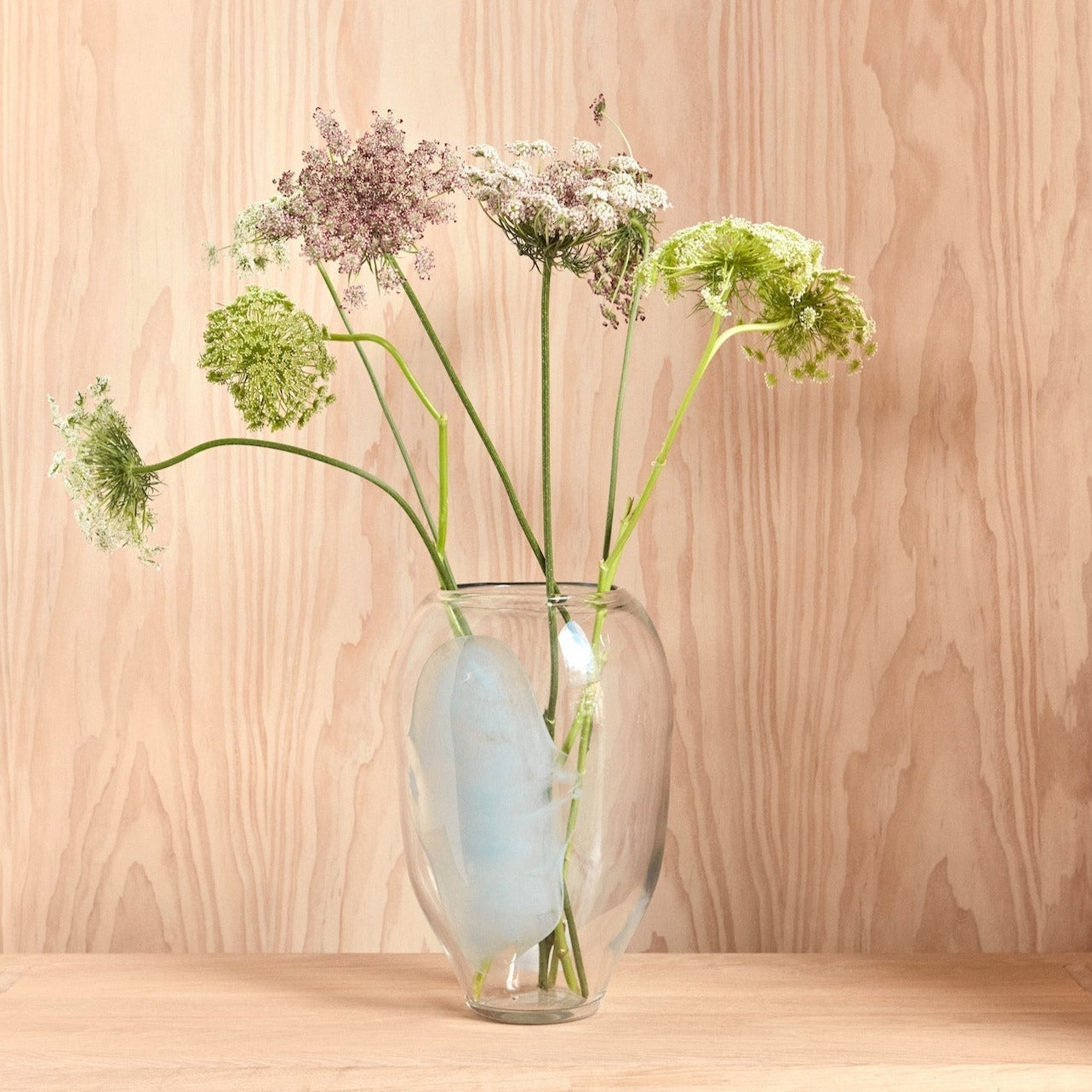 Vases & fleurs