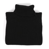 cropped turtleneck