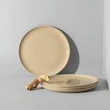 Stoneware Flat Dinner Plate | Edan 11.2"