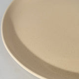 Stoneware Flat Dinner Plate | Edan 11.2"