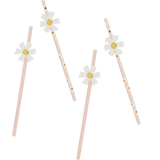 Paper Straws  - Daisy