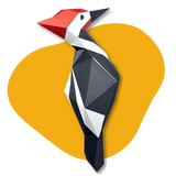 Les oiseaux pliables - Poly Paper Kits