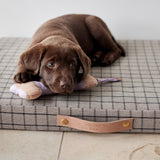 Milo Grid Dog Cushion - Small