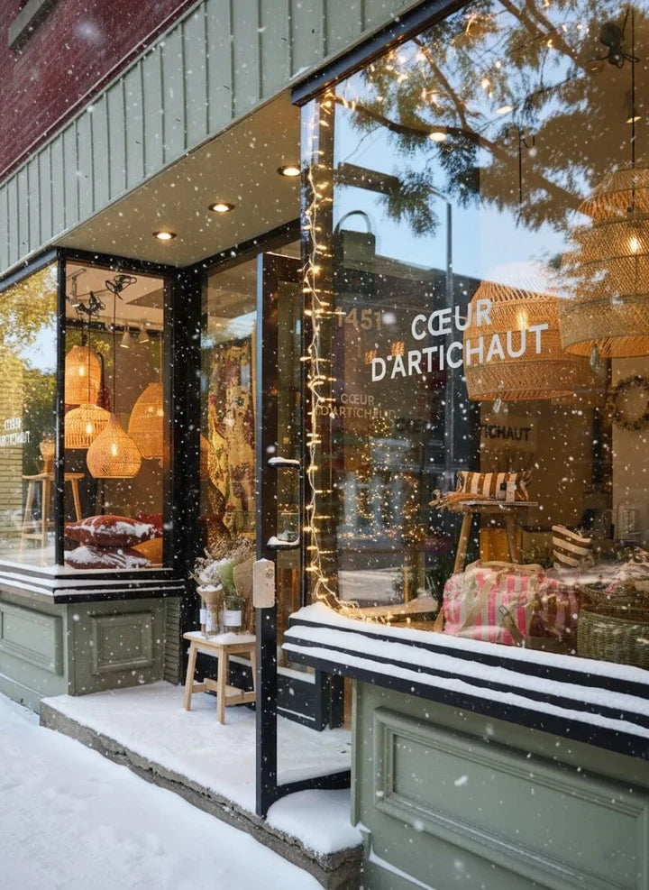 boutique décoration idée cadeau à moins de 100$