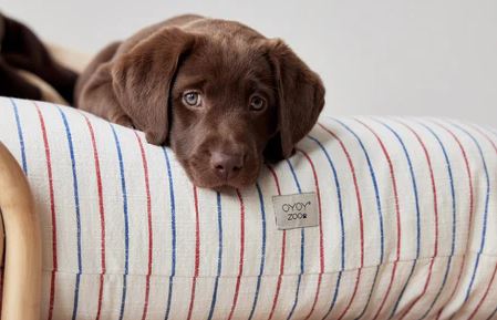 Coussin Kyoto pour chien - Mellow - Sleep - boutique décoration Montreal