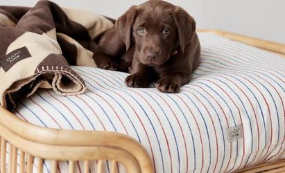 Coussin Kyoto pour chien - Mellow - Sleep - boutique décoration Montreal