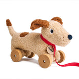 Dudley, le petit chien - boutique décoration Montreal