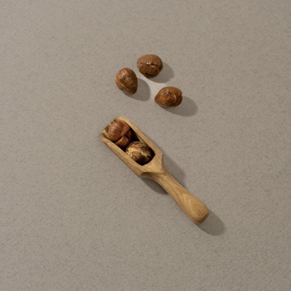 Natural Olive Wood Scoop - Utensils - boutique décoration Montreal