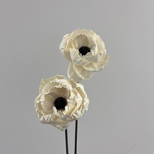 Pivoine Blanche - boutique décoration Montreal