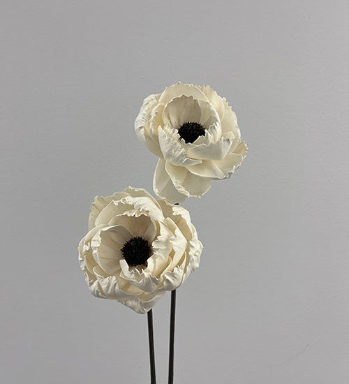 Pivoine Blanche - boutique décoration Montreal