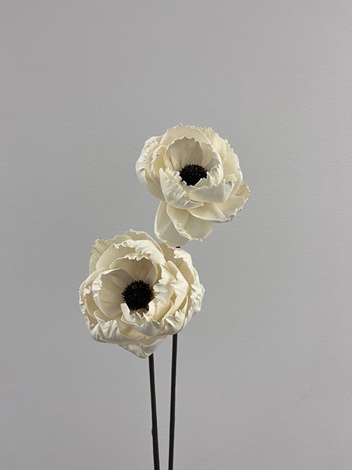 Pivoine Blanche - boutique décoration Montreal