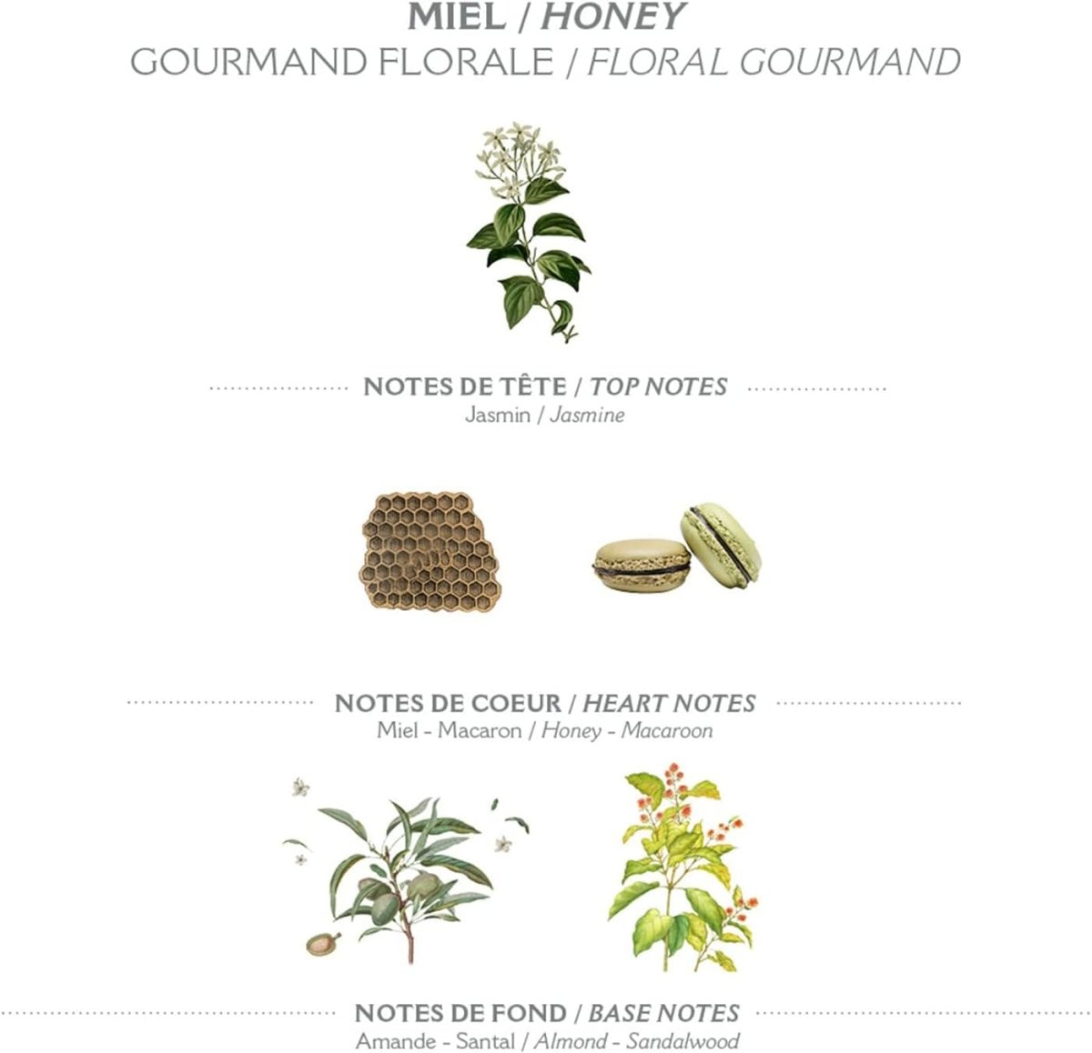 Savon de Marseille liquide exfoliant - Miel régénérant 500ml - Selfcare - boutique décoration Montreal