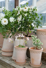 Load image into Gallery viewer, pot de fleurs rose en céramique, décoration plante
