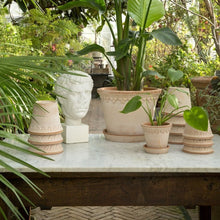 Charger l&#39;image dans la galerie, pot de fleurs rose en céramique, décoration plante
