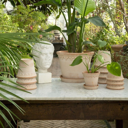 pot de fleurs rose en céramique, décoration plante