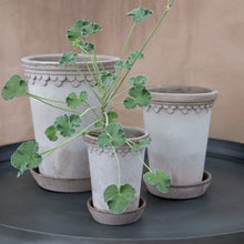 Load image into Gallery viewer, pot fleur céramique gris bers potter
